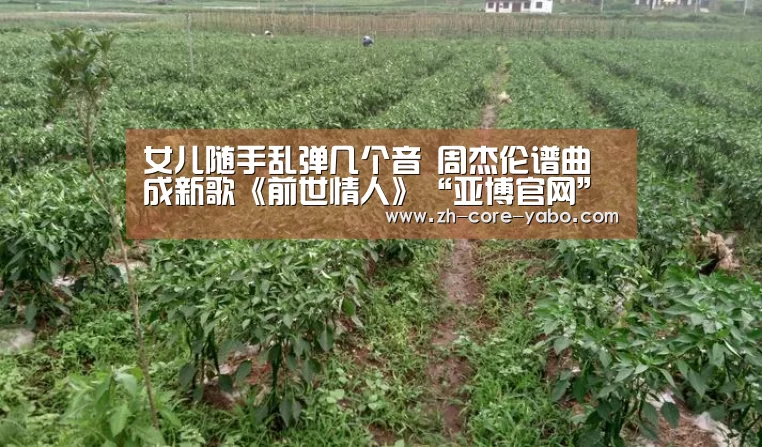 女儿随手乱弹几个音 周杰伦谱曲成新歌《前世情人》“亚博官网”(图1) 真人百家乐